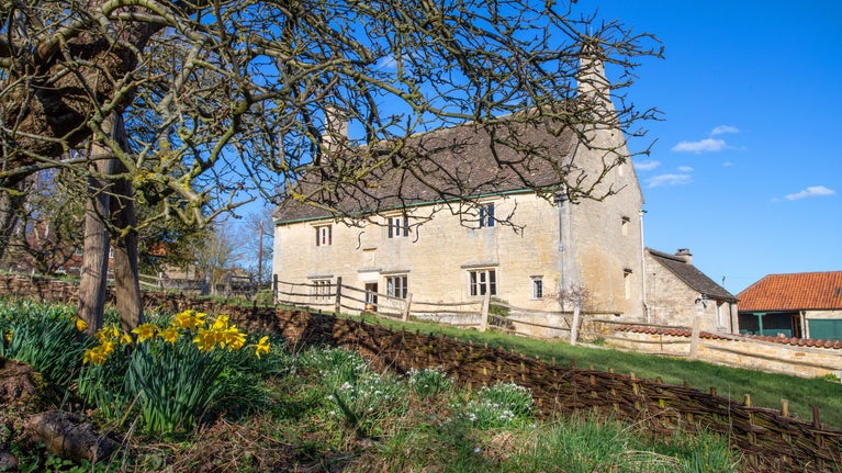 View of the front of the Manor House at Woolsthorpe, with daffodils and snowdrops underneath Isaac's apple tree.